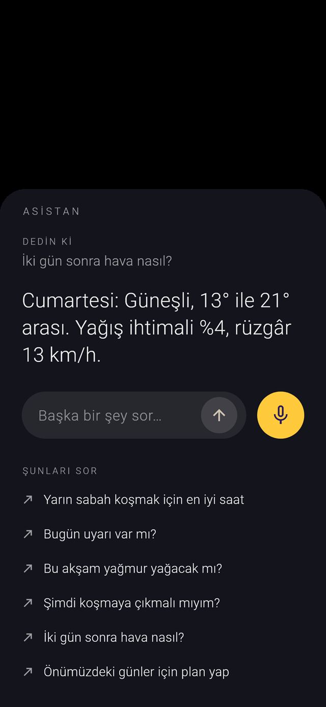 Sesli asistan